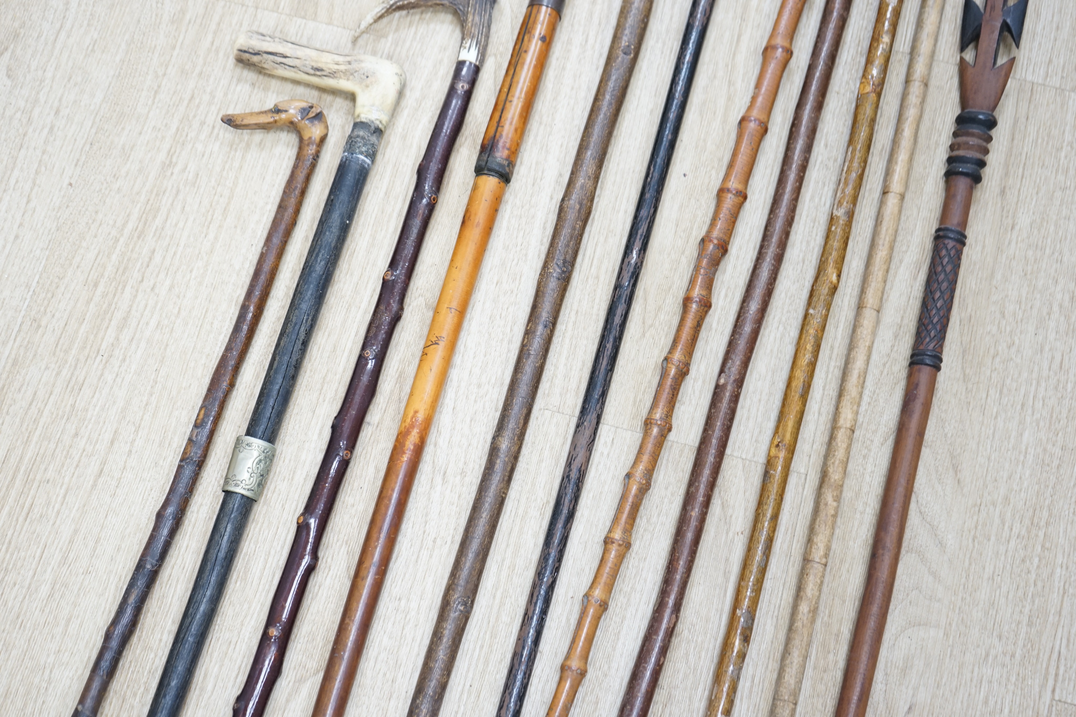 Twelve assorted walking sticks including silver mounted and staghorn handled
